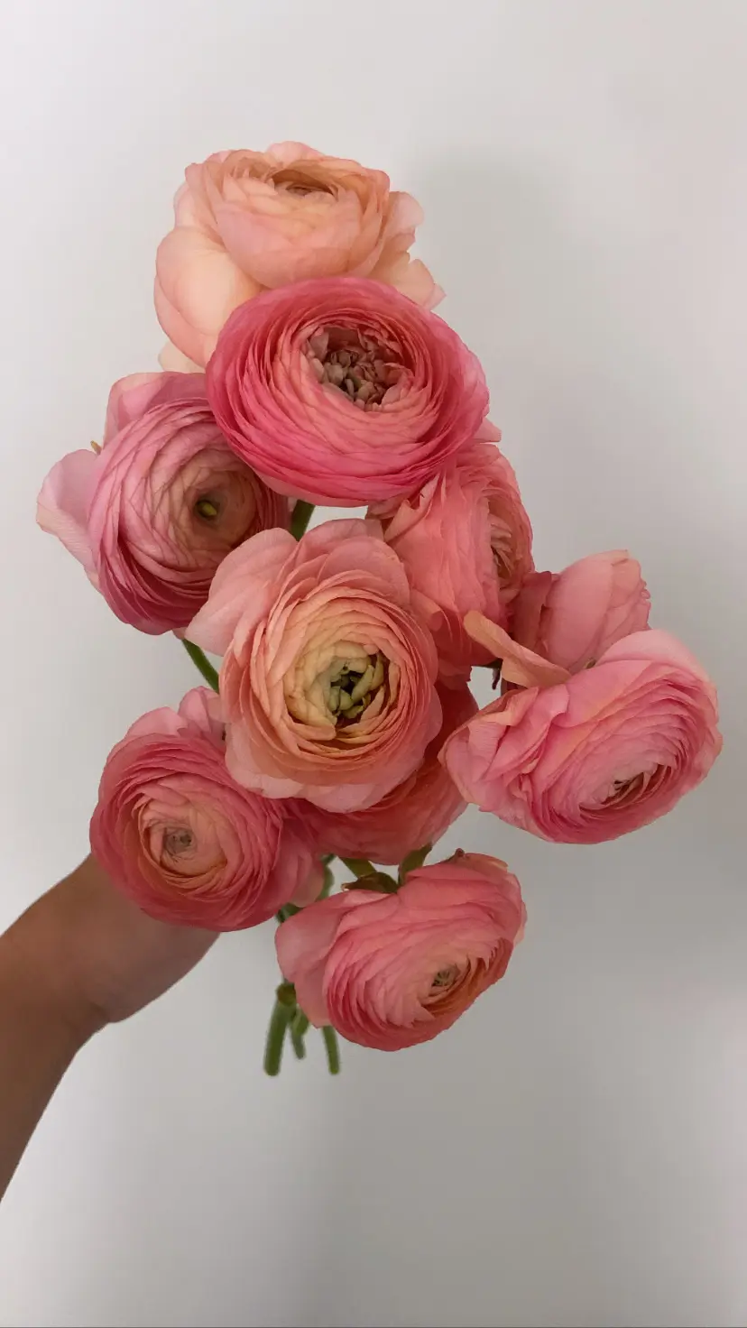 diy image 1