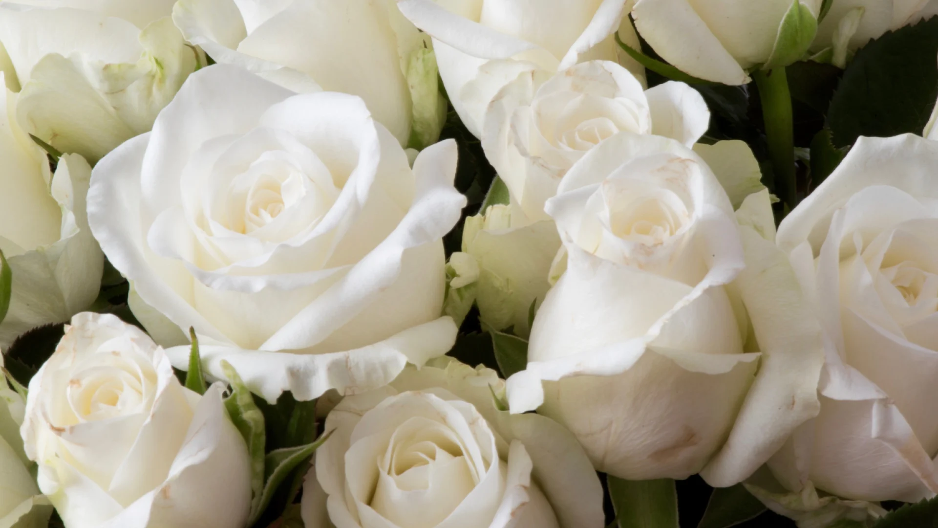 white flowers arrangement